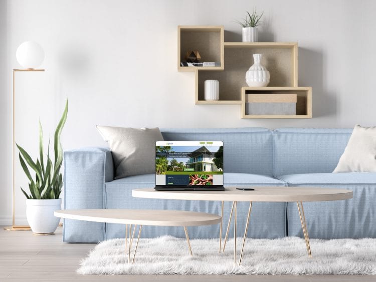 Pure Project, Living Room Mockup